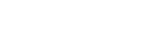 Stapiz logo